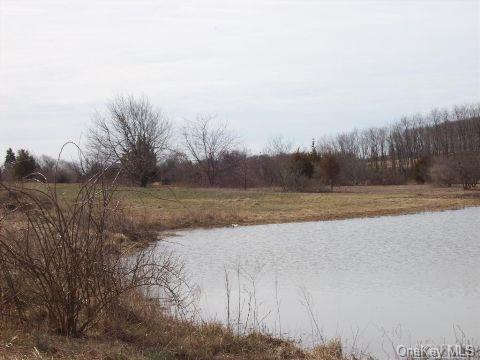 Towns and Country Real Estate