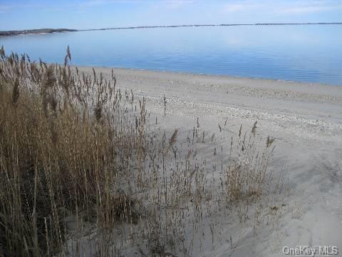 Beachdale, Southampton