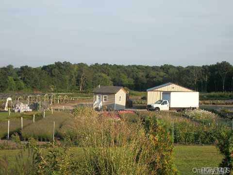 Towns and Country Real Estate