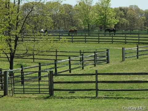 Towns and Country Real Estate
