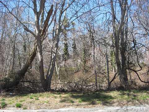 Homestead, Southold