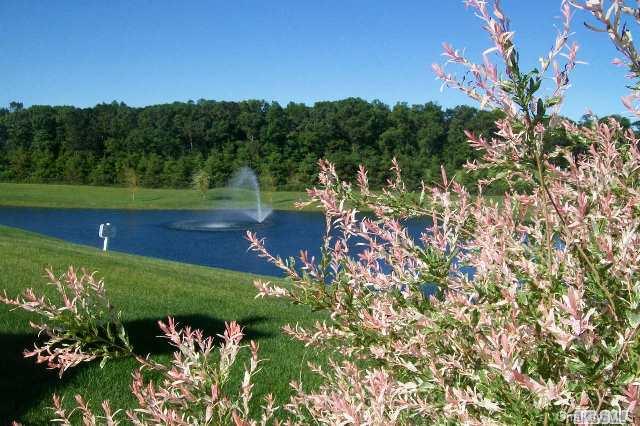 Towns and Country Real Estate