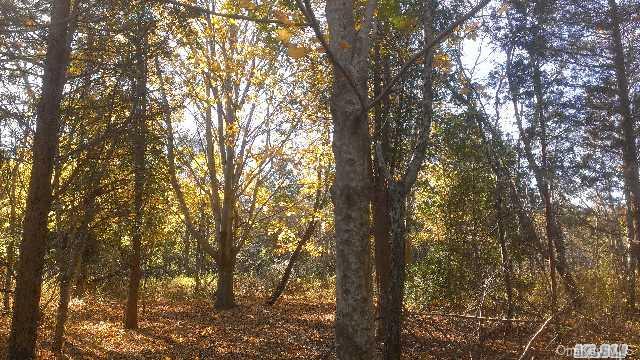 County Rd     48, Southold