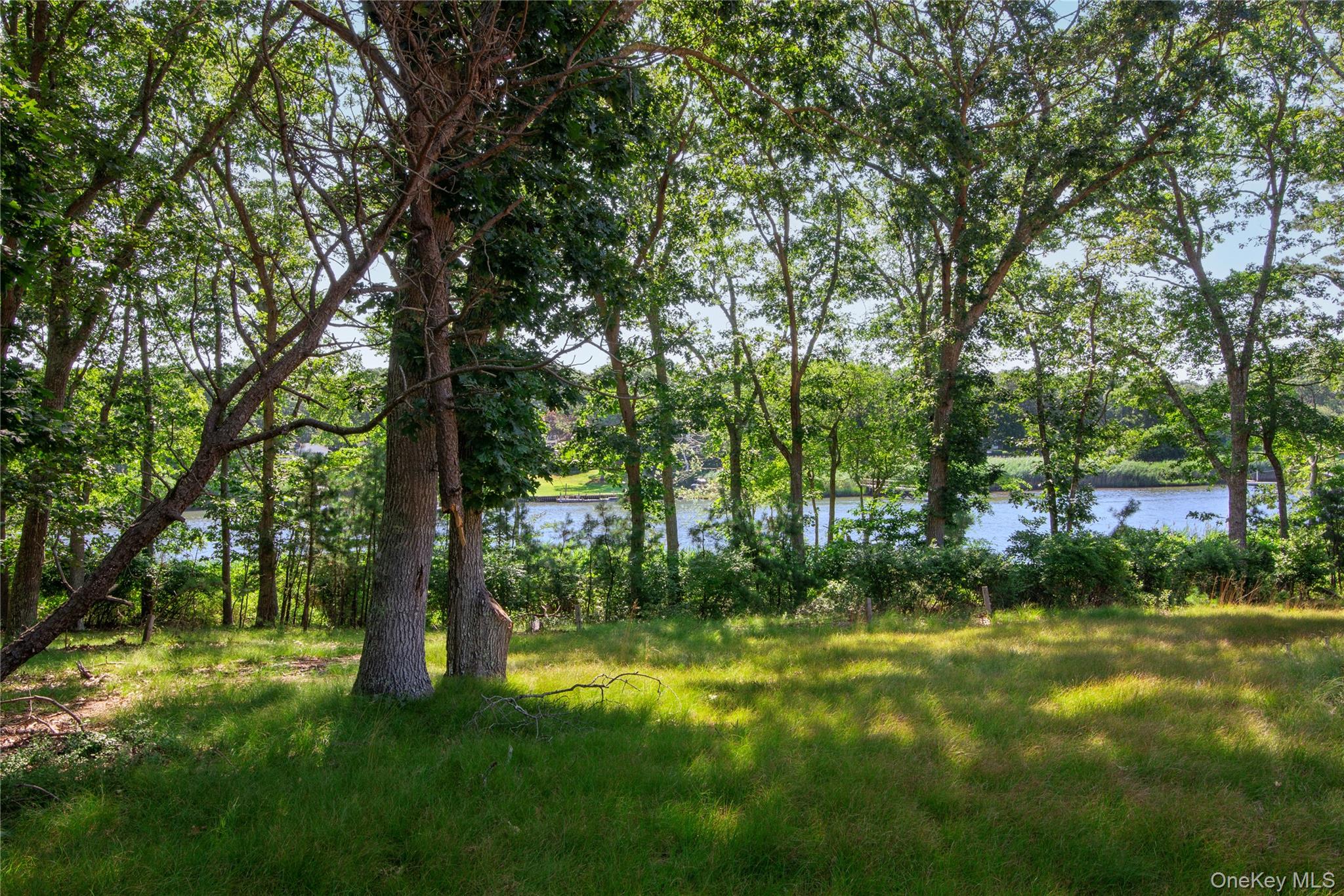 Towns and Country Real Estate