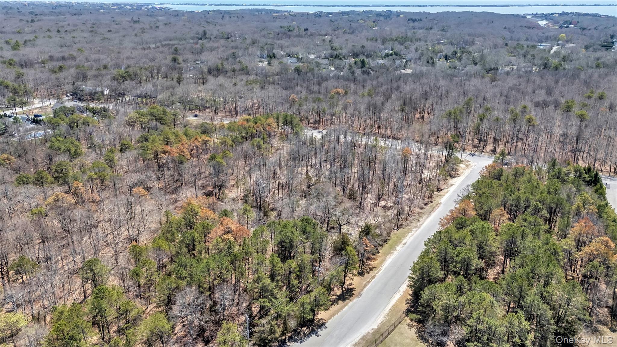 Towns and Country Real Estate