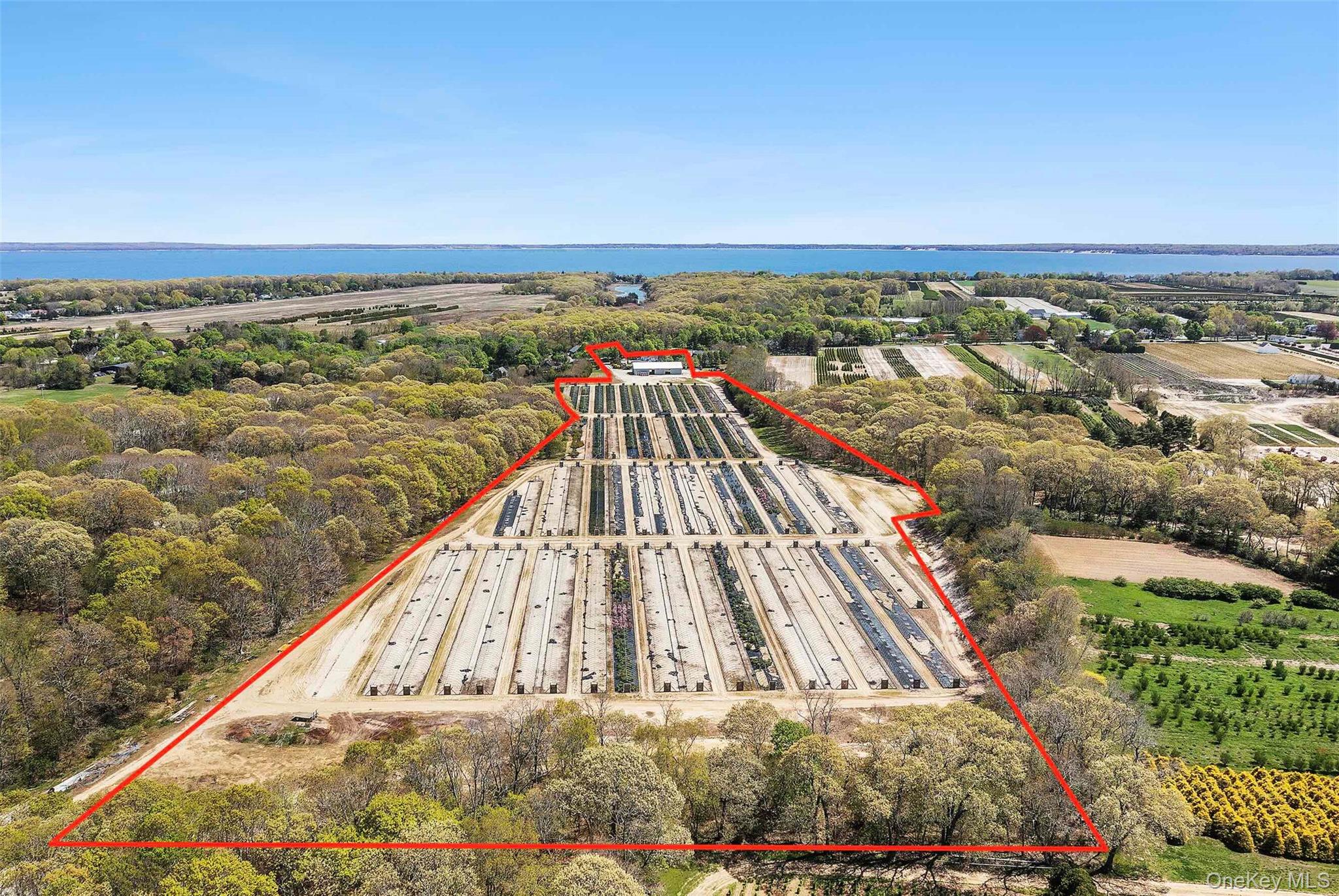 Towns and Country Real Estate