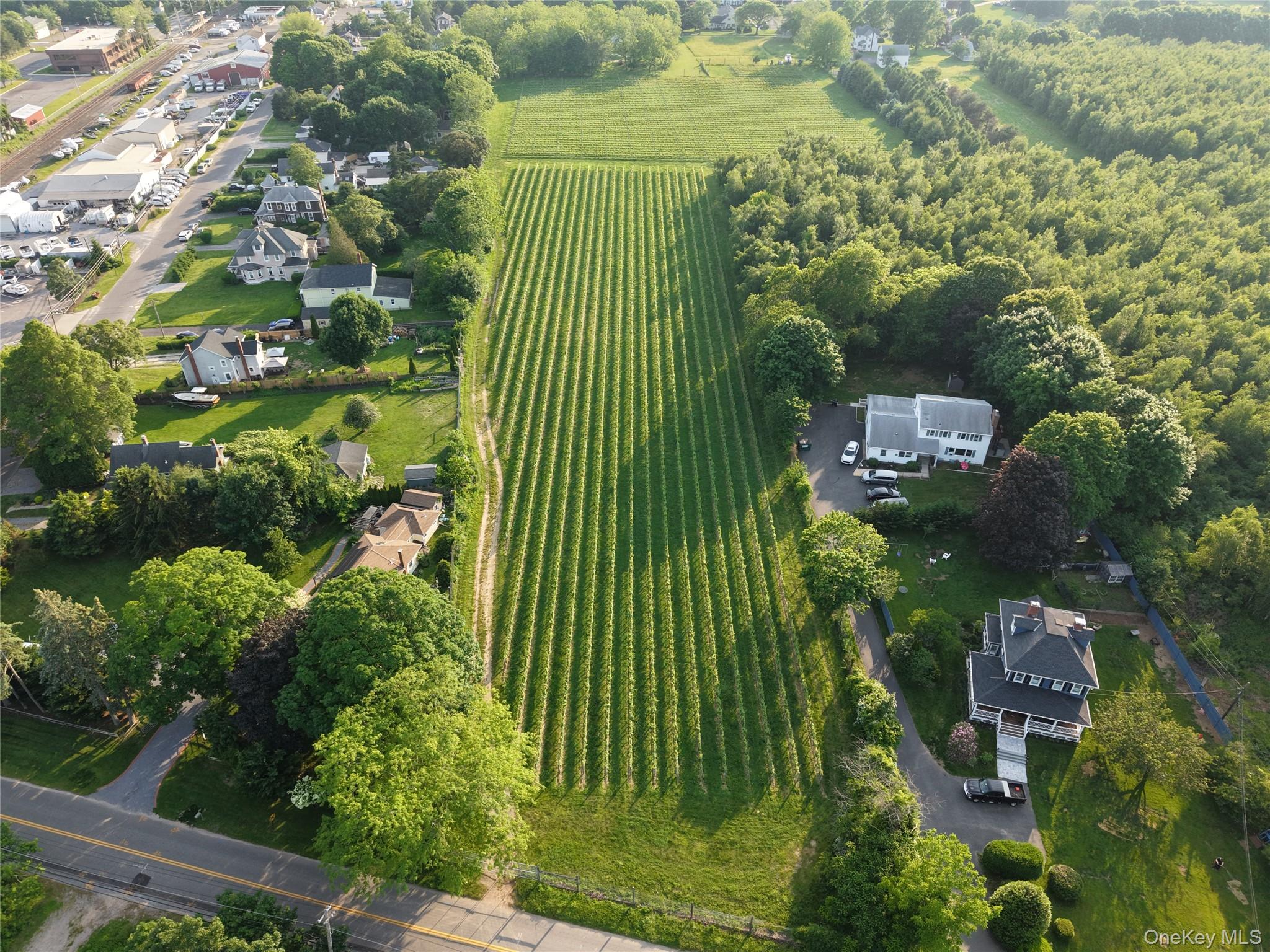 Boisseau, Southold
