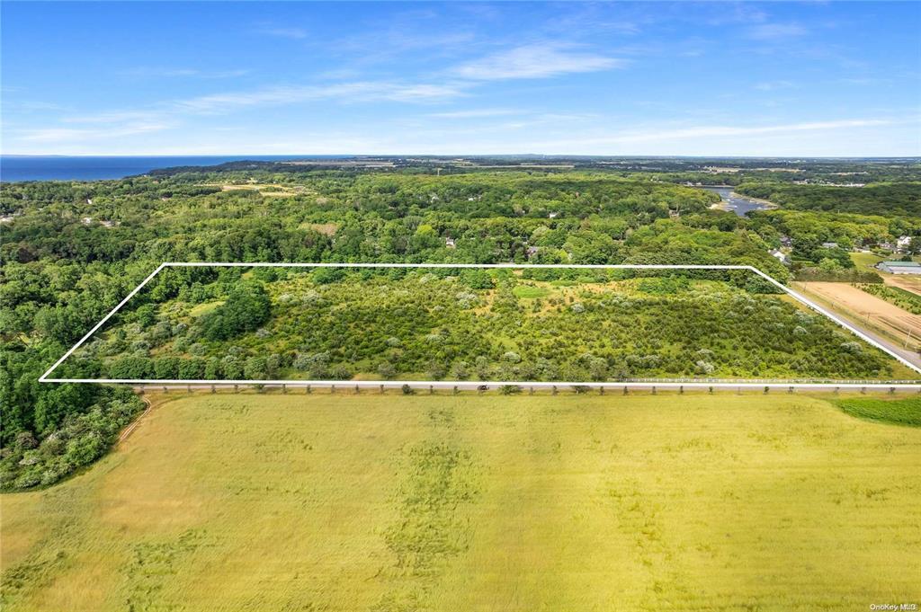 Towns and Country Real Estate