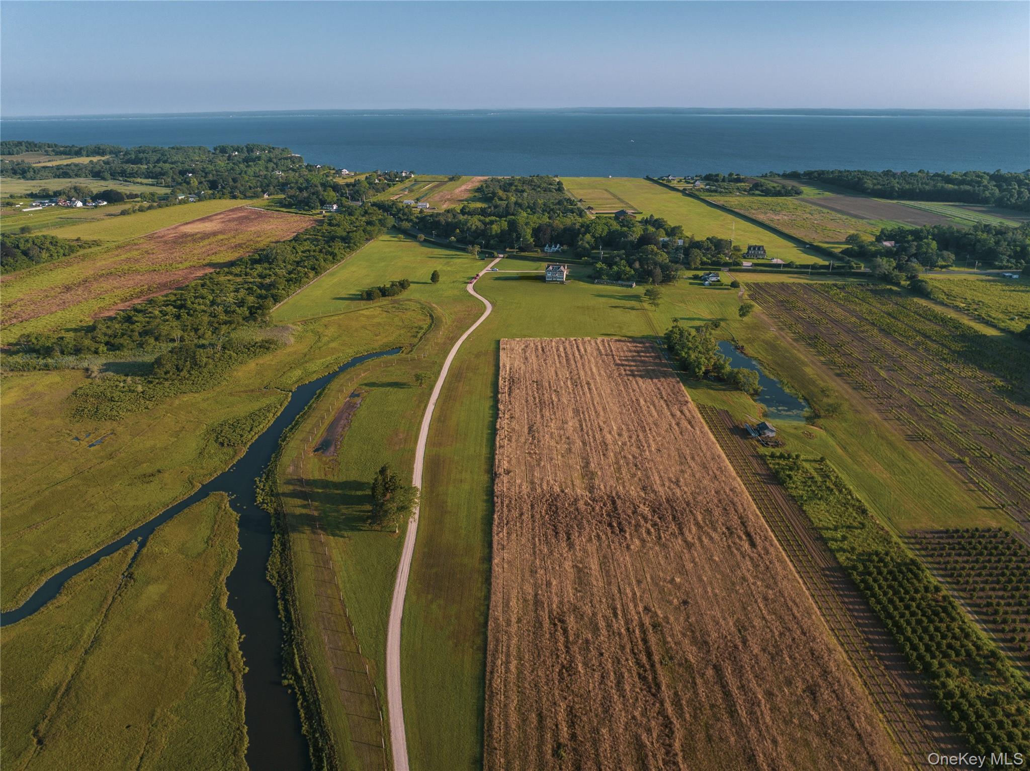 Towns and Country Real Estate