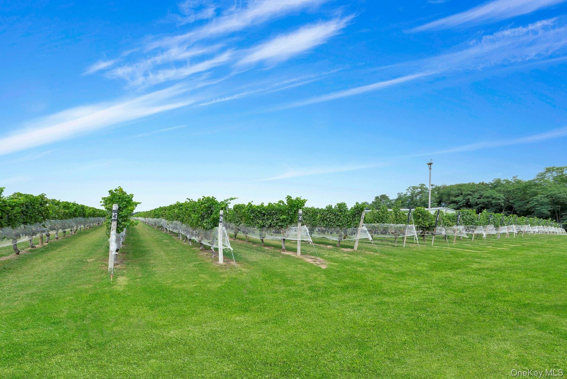Towns and Country Real Estate