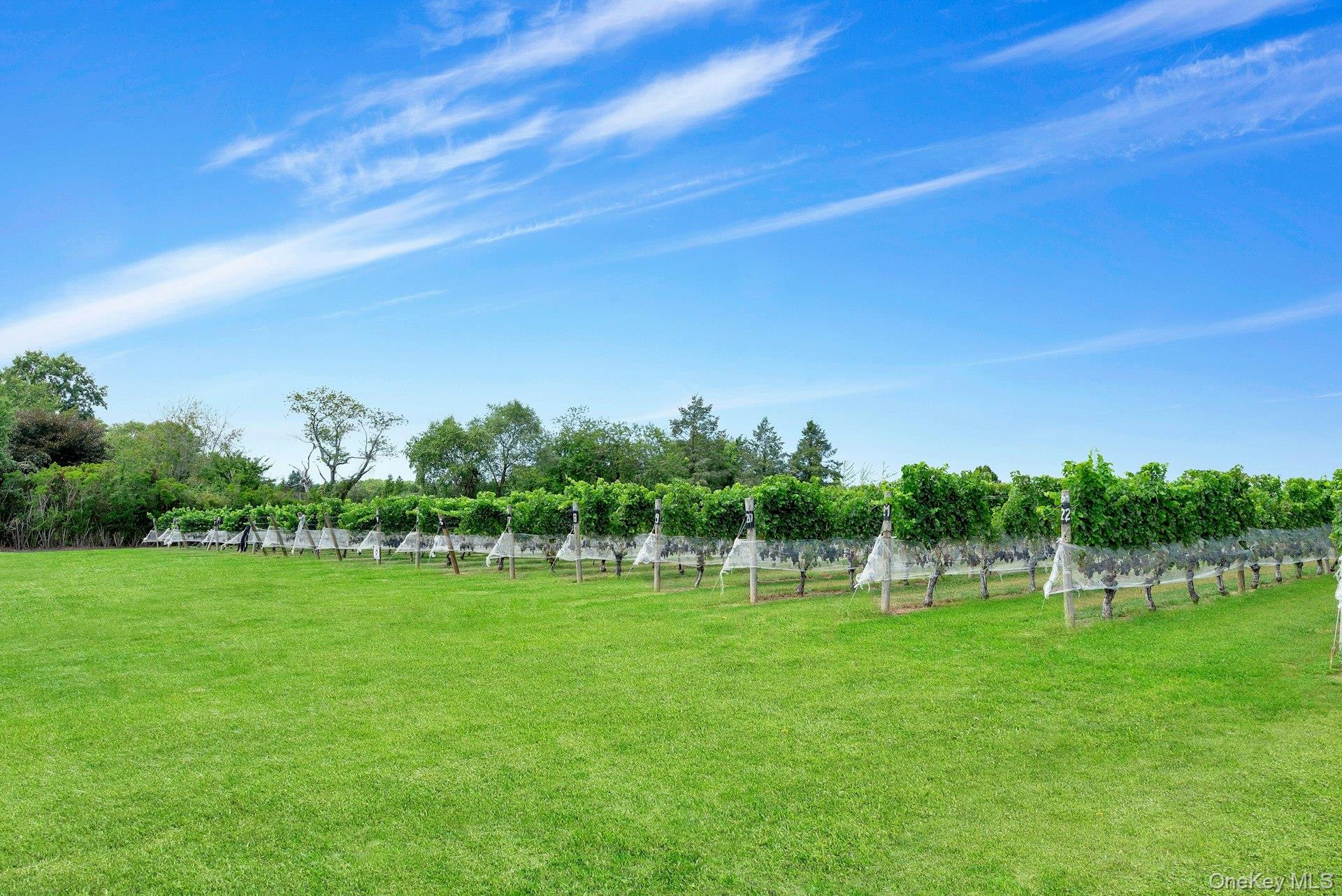 Towns and Country Real Estate