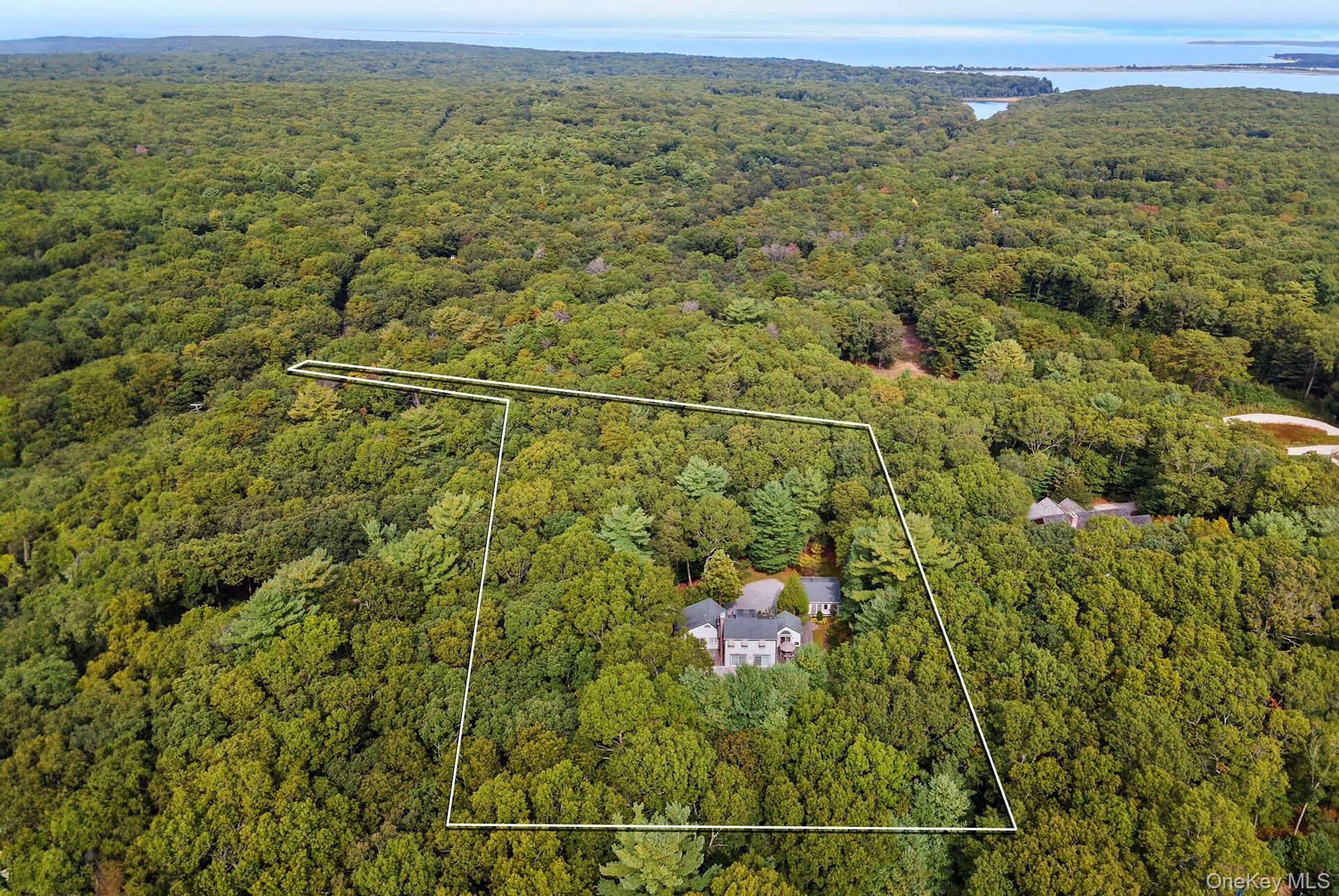 Towns and Country Real Estate