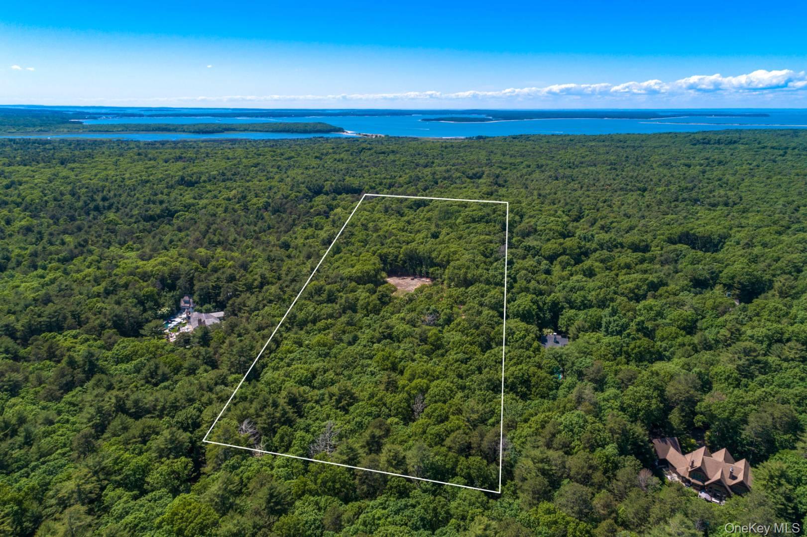 Towns and Country Real Estate