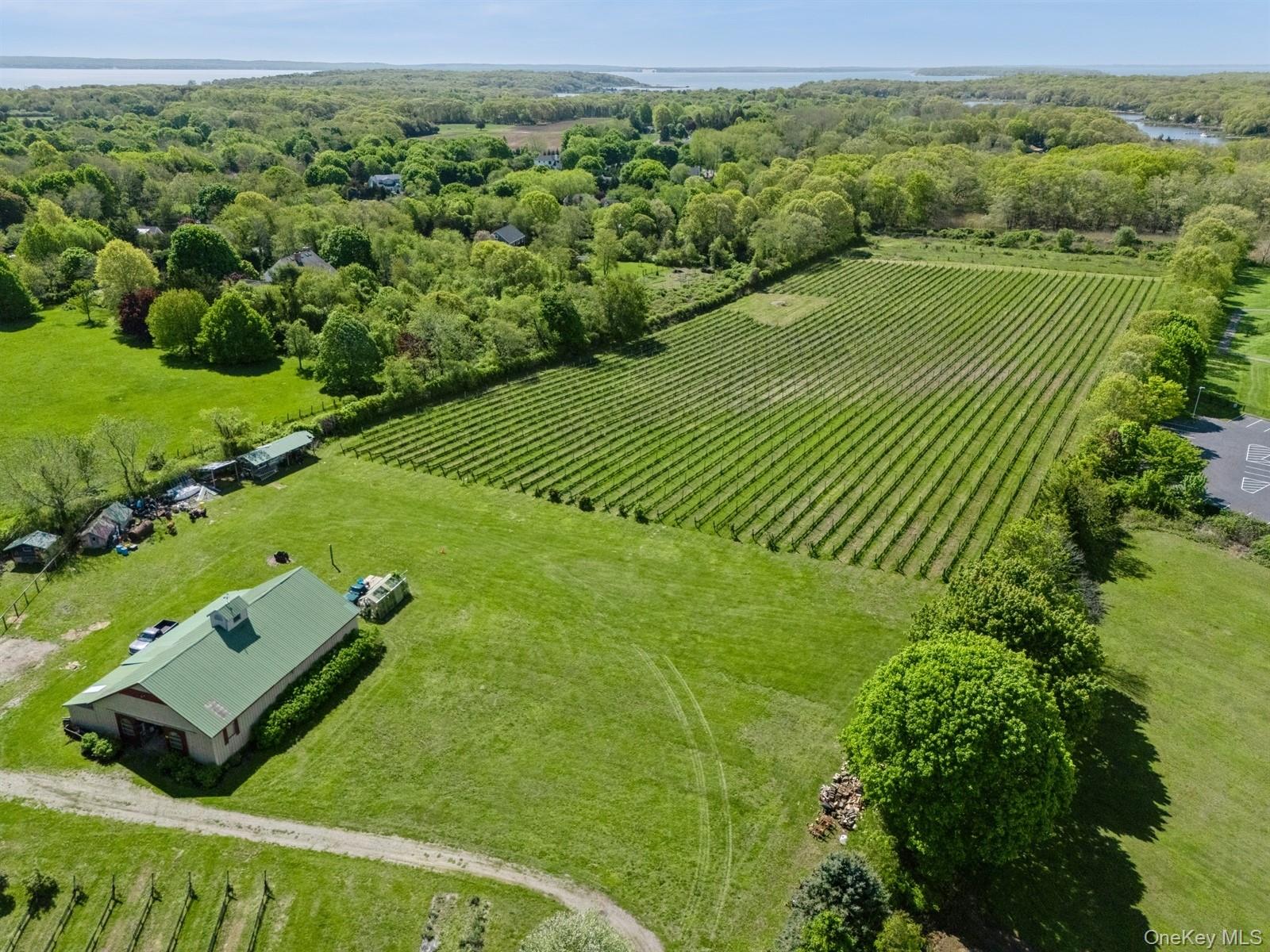 Towns and Country Real Estate