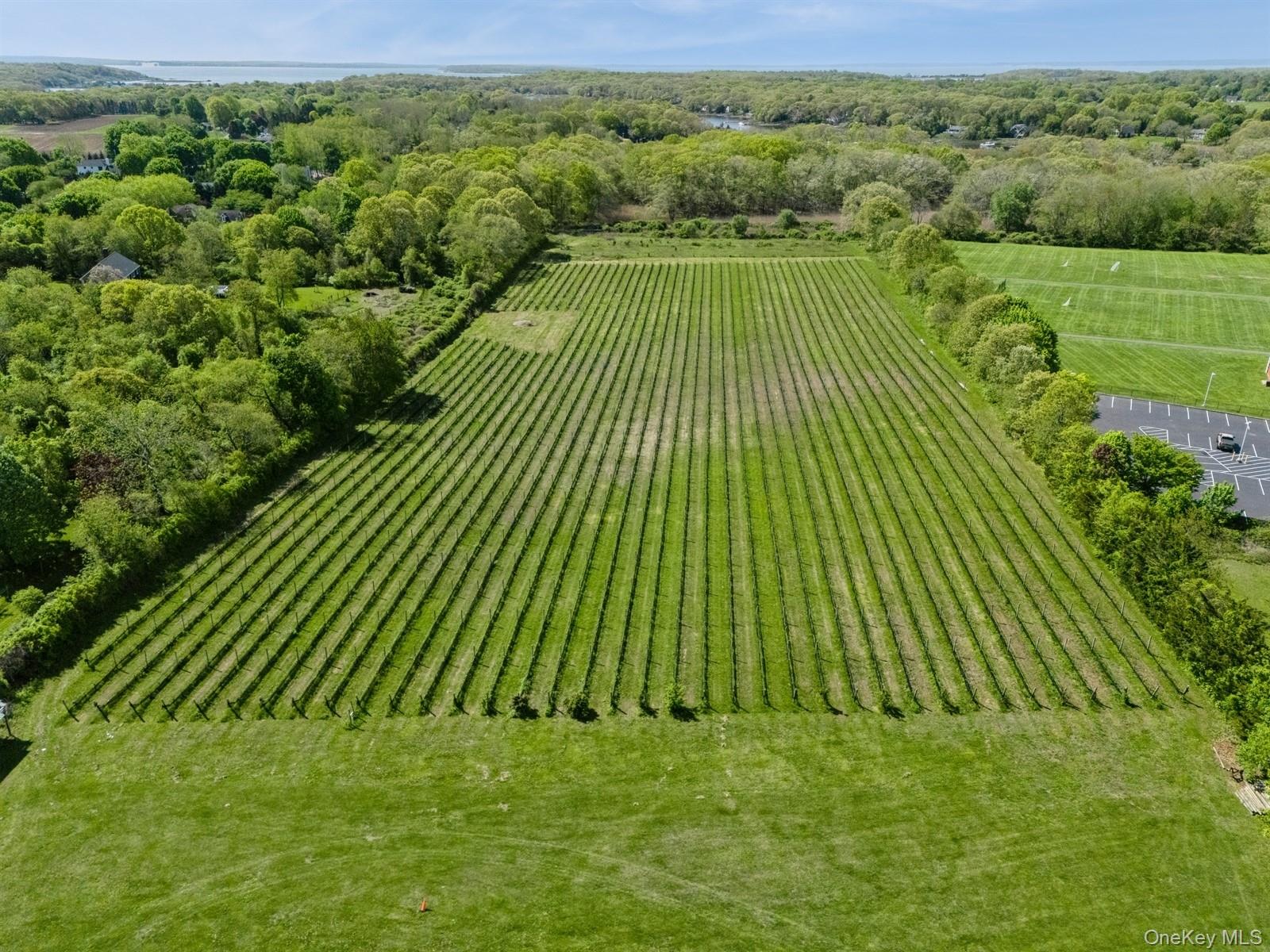Towns and Country Real Estate