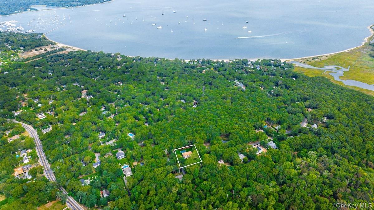 Towns and Country Real Estate