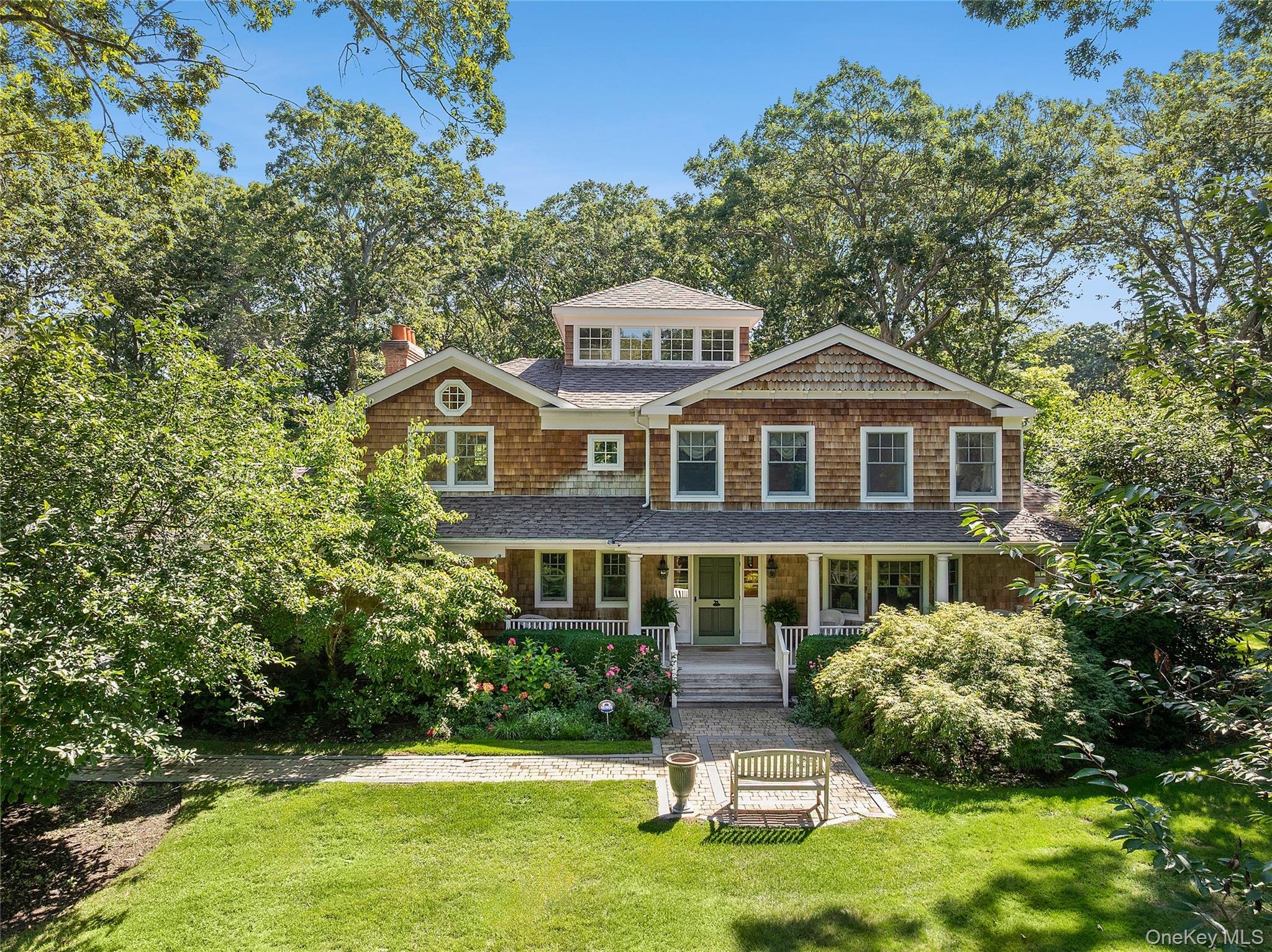 Cedar, Southampton