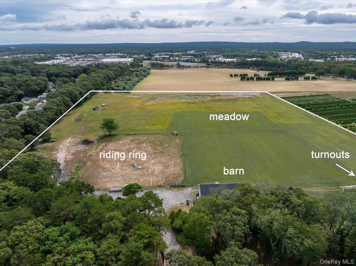Towns and Country Real Estate