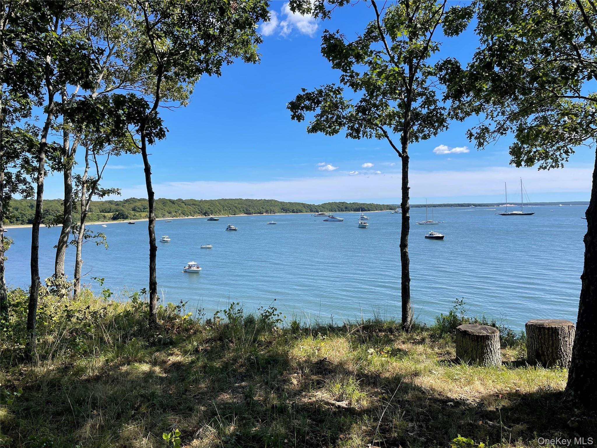 Towns and Country Real Estate