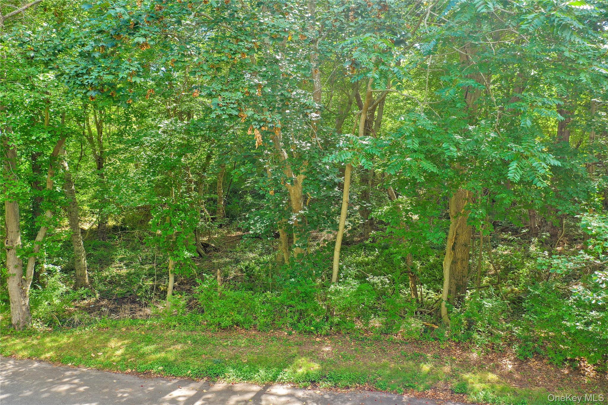Homestead, Southold