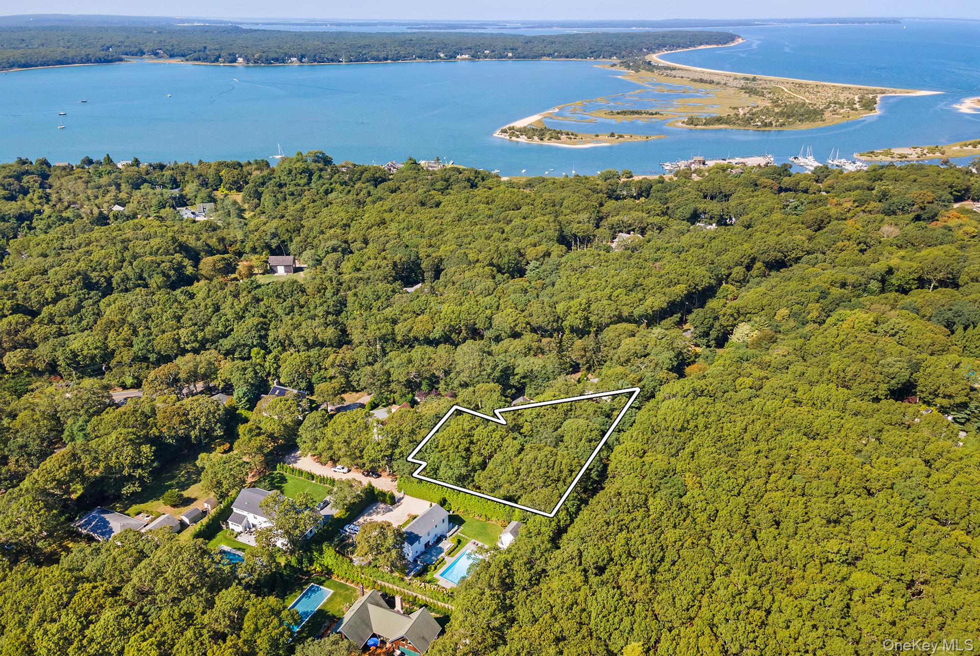 Calvin, East Hampton