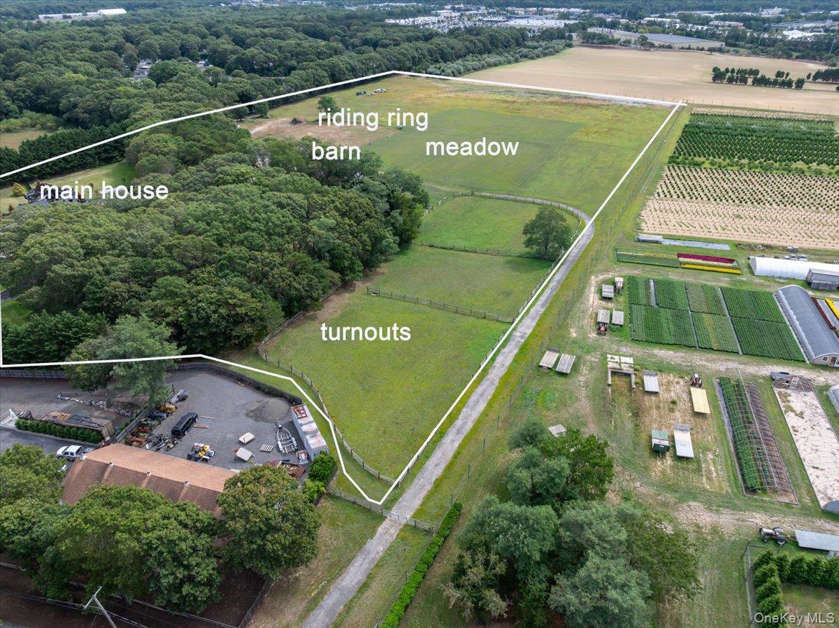 Towns and Country Real Estate