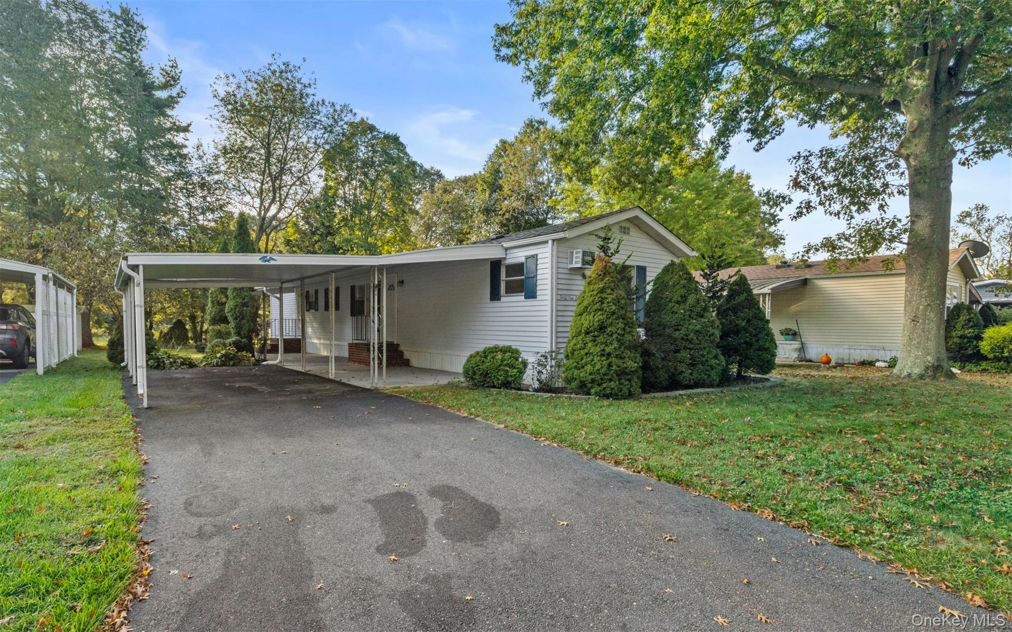 Witt, Riverhead