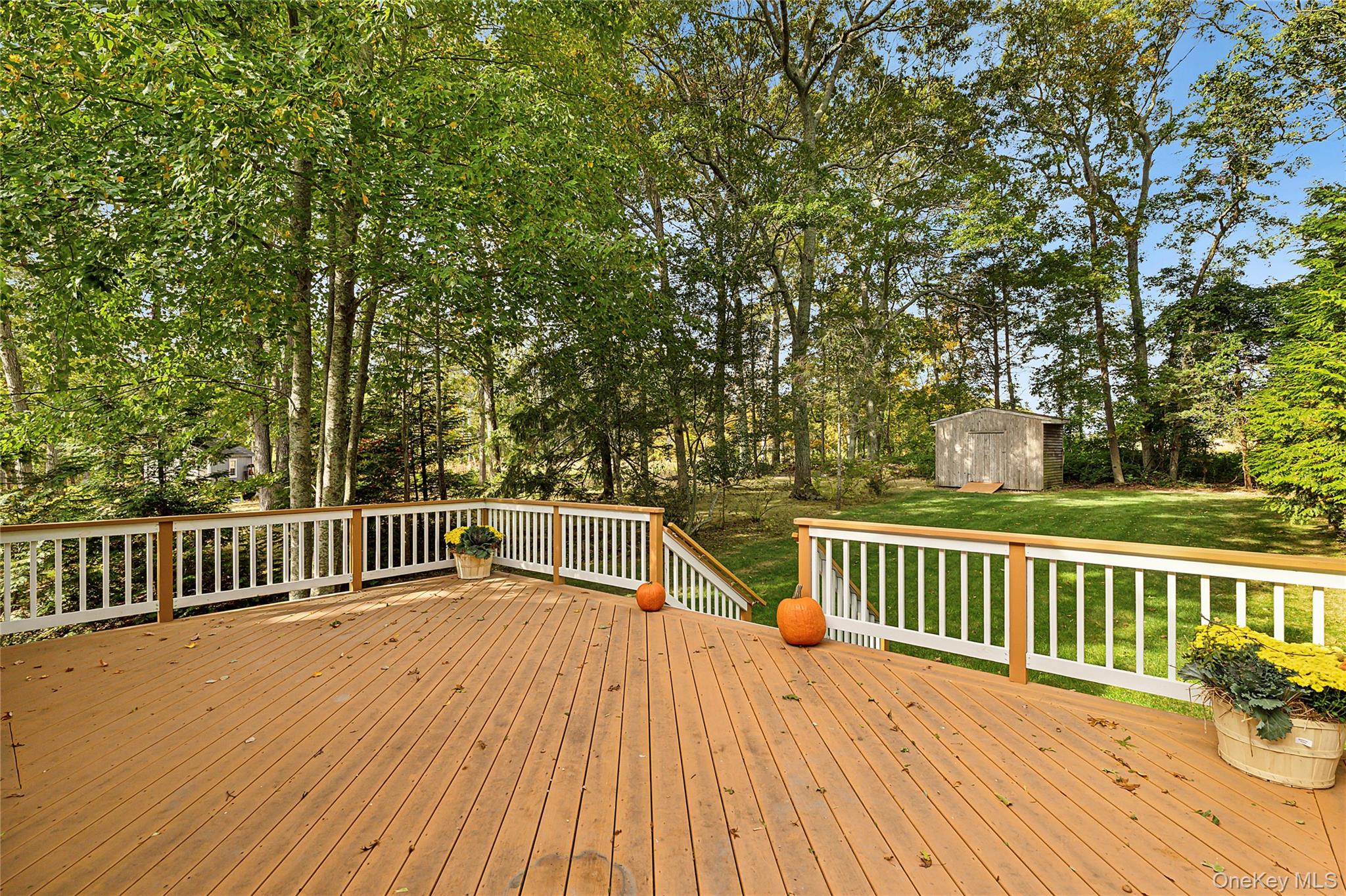 Towns and Country Real Estate